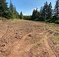 Building Lot For Sale In Shamrock