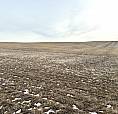 1,229 Acres For Sale Richmound Sk