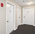 Freshly Renovated 1-bedroom Apartment Available In The Heart Of