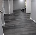 Clean And Spacious Basement For Rent