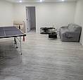 Renovated Basement Apartment
