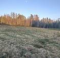 Xtra Large ~ 27 Acre Property Ready To Build Your Dream Home