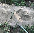Versatile Land For Sale