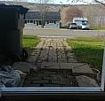 Spacious 1 Bedroom Apt.1 Year Lease Preferred $L200/Month