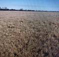 40 Acres For Sale Vanscoy