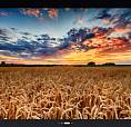 Acreage Land Close To Lloydminster