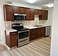 1 Bed 1 Bath Suite