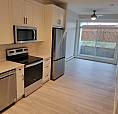 Luxury 1 Bedroom Condo For Rent In Auburn Bay