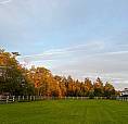 Looking To Buy Land For Cash In Nova Scotia 