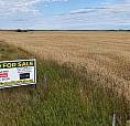 6,133 Acres For Sale By Tender