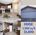 S/M/L Dog? Huge 3 Bed 1.5 Bath Double Garage Hillview Mill Woods