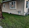 House For Sale Delburne