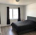 4 1/2 Chien Permis. Dispo À Partir Du 15 Juillet