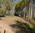Lot For Sale At Lake Arnault