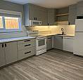 New 1 Bed, 1 Bath Legal Basement