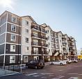 Pet-Friendly One Bedroom One Bath With In-Suite Laundry For Rent