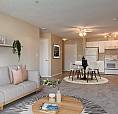 Modern Apartments With Gym! - Amberwynd Apartments - Apartment F