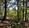 Affordable Building Lots Available. Close To Bridgewater