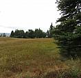 Lot 17 Pearson Road Castlegar, British Columbia
