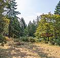 4535 Bedwell Harbour Rd Pender Island, British Columbia