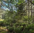5596 Munn Rd Highlands, British Columbia