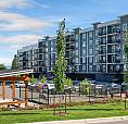 Pet-Friendly One Bedroom One Bath With In-Suite Laundry For Rent