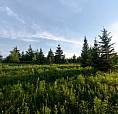 Country Building Lots For Sale – Bridgewater, South Shore Area