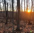 $579,000 - Price Taxes Not Included - Residential Lot For Sale