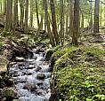 Lot 2 Red Mountain Road Silverton, British Columbia