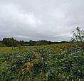 91 52528 Rge Rd 171 Rural Beaver County, Alberta