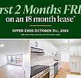 Beautifully Renovated Suites With Walk-in Closets | Gym, Social 
