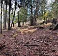 Columbia Drive Lot# 138 Anglemont, British Columbia