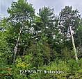 20 Peplinskie Homestead Road Madawaska Valley, Ontario