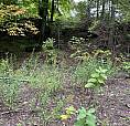 6055 Hwy 620 Wollaston, Ontario