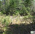 45 000$ - Terrain Résidentiel À St-Magloire-De-Bellechasse