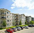 Pet-Friendly One Bedroom One Bath With In-Suite Laundry For Rent