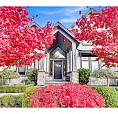7434 202a Street Langley, British Columbia