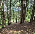 Deer Park Drive Lot# 21 Rossland, British Columbia