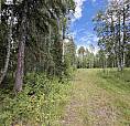9628 Annegene Road Prince George, British Columbia