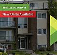 Pioneer Apartments - 2 Bedroom Bi-Level Apartment For Rent