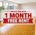 Bachelor Apartment For Rent