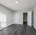 Pet Friendly & Close To Ttc And Highway.