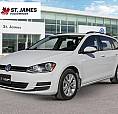 2017 Volkswagen Golf Sportwagen Trendline | Local One Owner