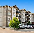 Pet-Friendly Three Bedroom One Bath With In-Suite Laundry For Re