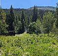 7160 China Valley Road Chase, British Columbia