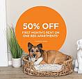Pet-Friendly Three Bedroom Two Bath With In-Suite Laundry For Re