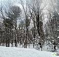 $219,900 - Residential Lot For Sale In Ste-anne-des-lacs