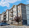 Pet-friendly Two Bedroom One Bath With In-suite Laundry For Rent