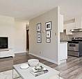 Affordable Apartments For Rent - Casa Linda - Apartment For Rent