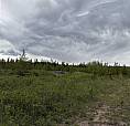 Dl 706 Walcott Road Telkwa, British Columbia